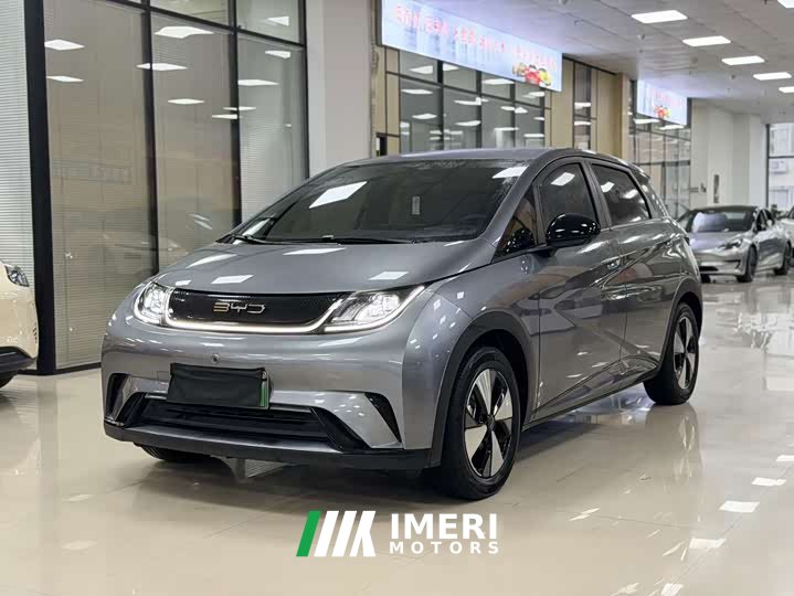 BYD Dolphin 2023 420km Free Edition