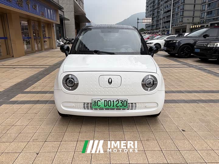 Lynk & Co Euler Black Cat 301km basic ternary lithium
