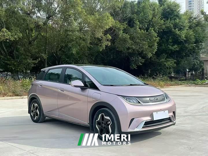 BYD Dolphin 2021 405km fashion version