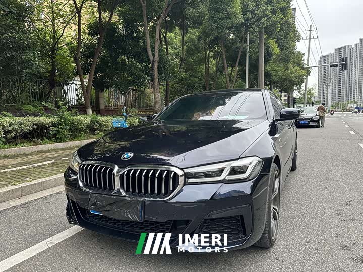 BMW 5 Series 2022 530Li Leading Luxury Package