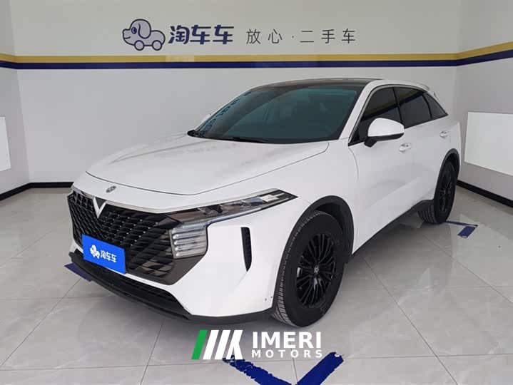 Lynk & Co Venucia Big V 2022 260T Dark Horse Edition Idol