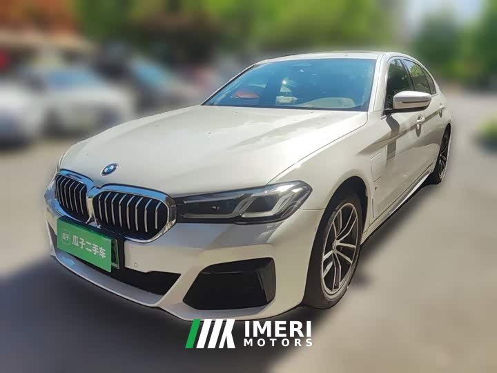 BMW 5 Series New Energy Facelift 535Le Pioneer Edition M Sports Package