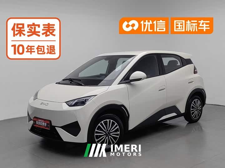 BYD Smart Drive Edition 305km Edition