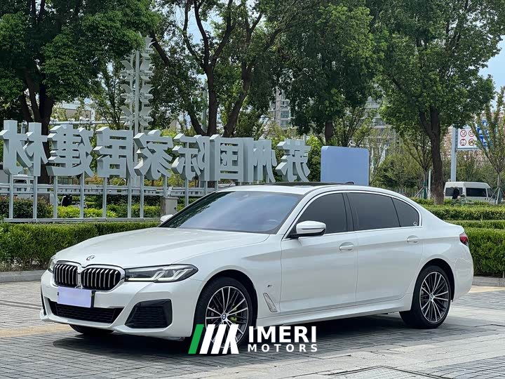 BMW 5 530Li Version M
