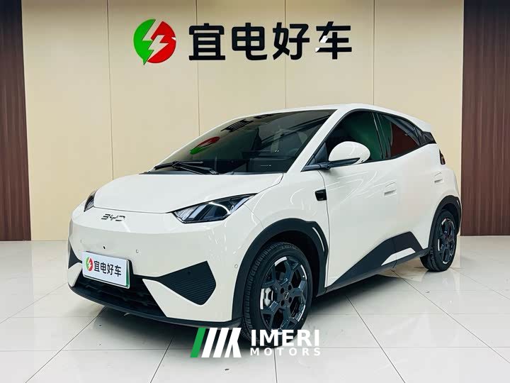 BYD Seagull smart driving version 305km free version