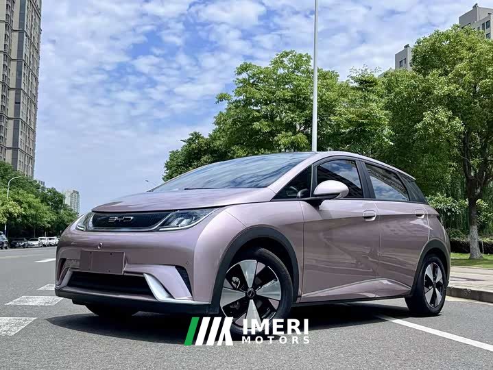 BYD Dolphin 420km Fashion Edition