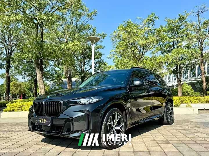BMW X5 xDrive 30Li Deluxe VersionM