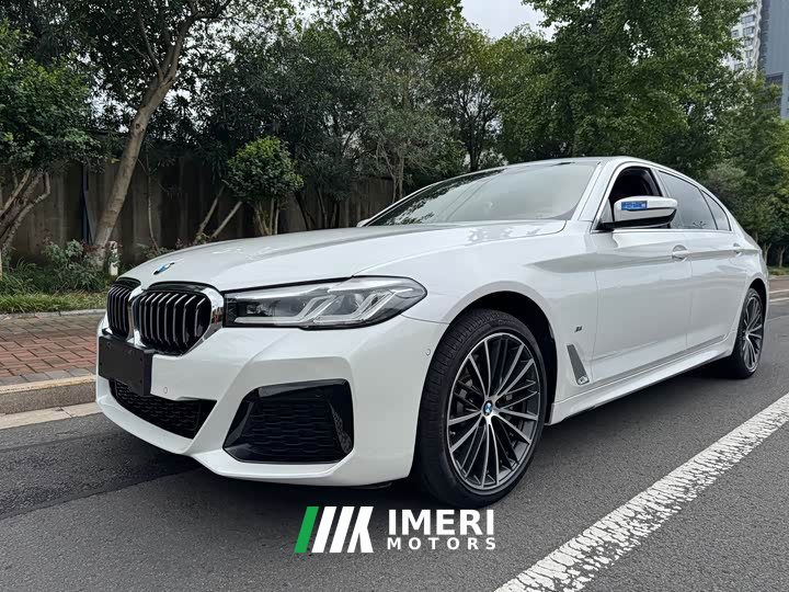 BMW 5 530Li Version M