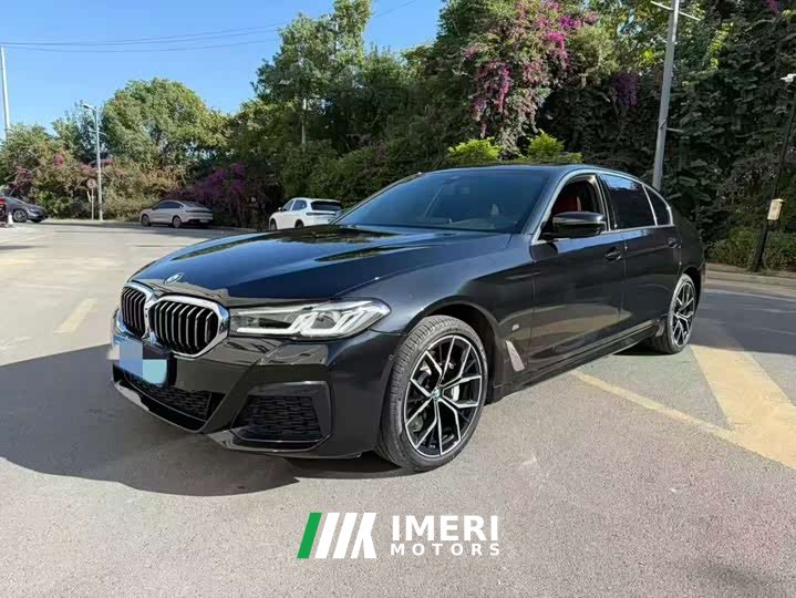 BMW 5 530Li Deluxe Version M