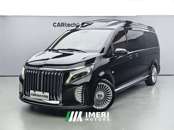 Lexus Bochi NV series 2020 2.0T welfare vehicle