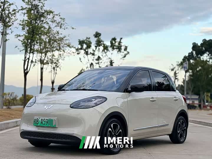 Wuling Bingo 410km Lingxi Exclusive Edition