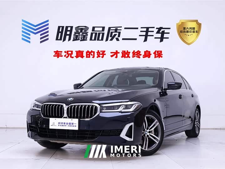 BMW 5 Series 530Li Leading Luxury Package