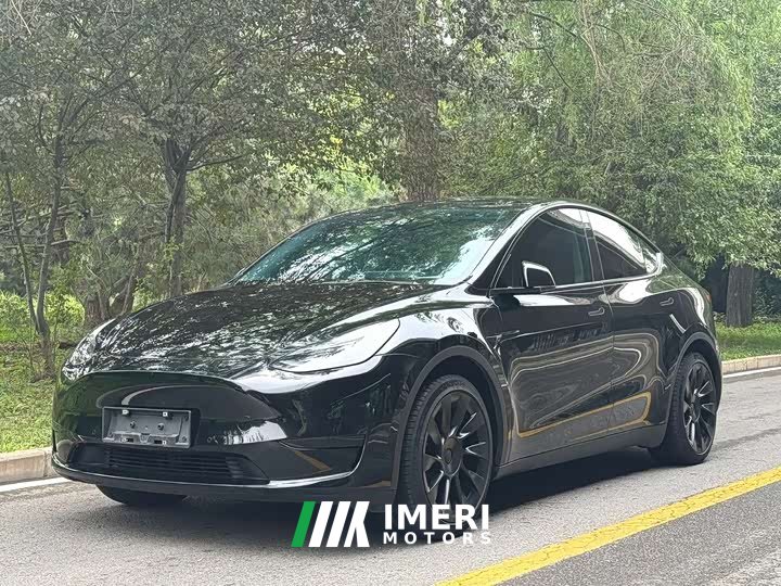 Tesla Model Y rear-wheel drive version