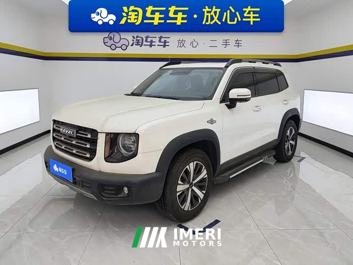 Havaldog 1.5T DCT two-wheel drive Labrador version
