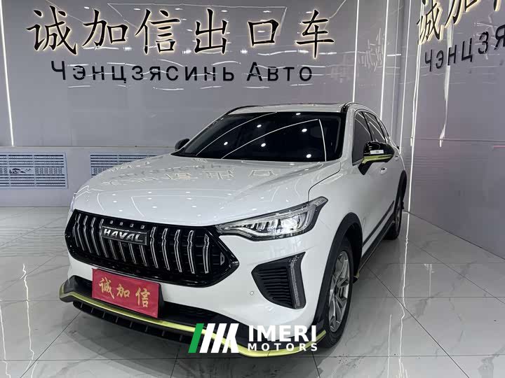 Haval Red Rabbit Exclusive Edition 1.5T Red Bronze Rabbit