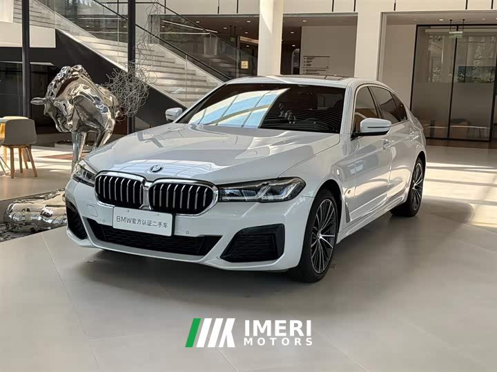 BMW 5 530Li Version M