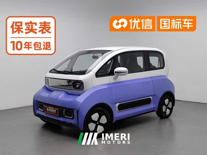 BYD KiWi EV Edition