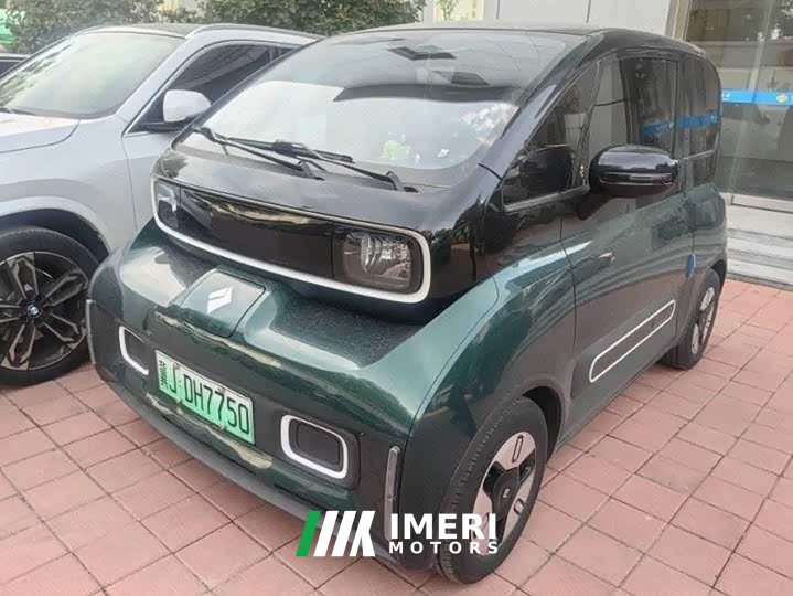 BYD KiWi EV