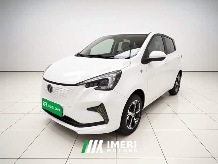BYD E-Star Edition