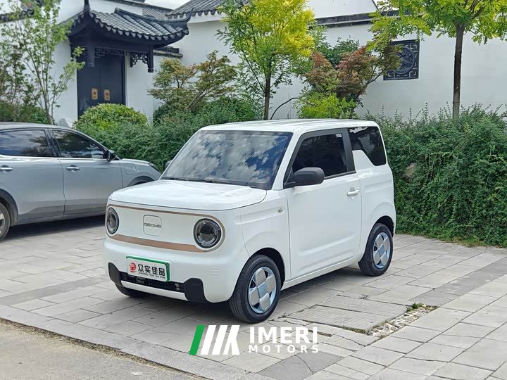 BMW Panda mini 200km endurance bear