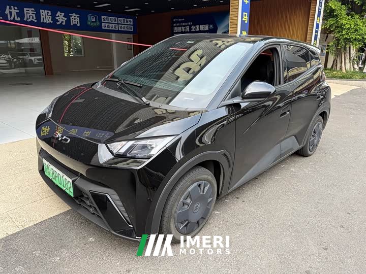 BYD Edition 305km Edition