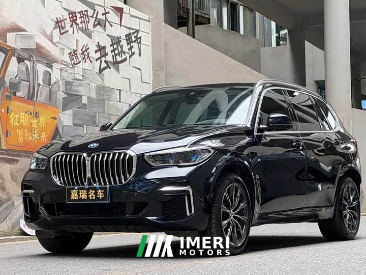 BMW X5 xDrive 30Li Deluxe VersionM
