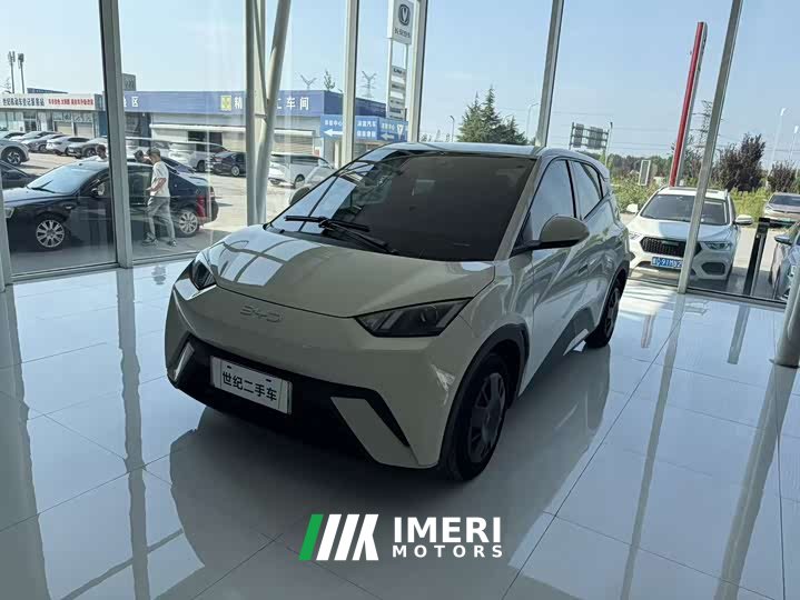 BYD 305km Edition