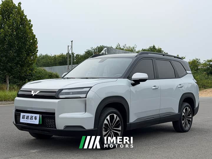 FAW 560 EV 500km Luxury Version