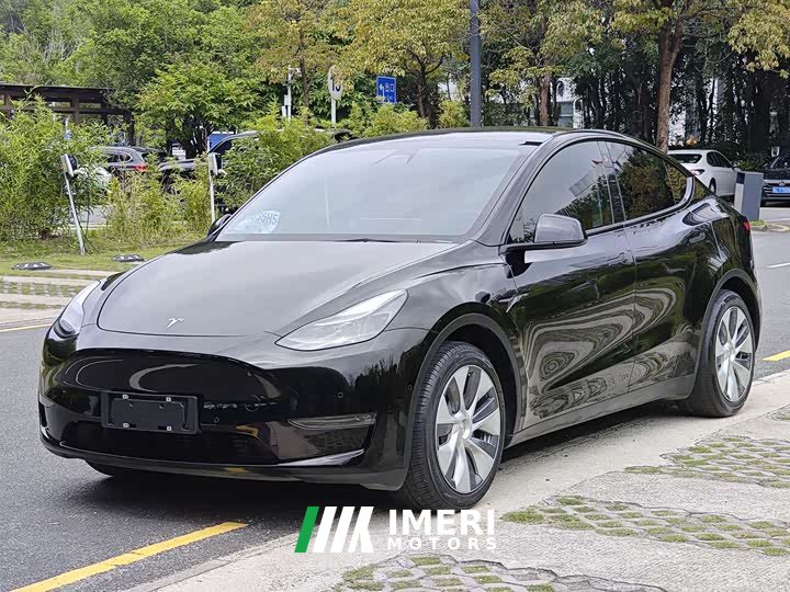 Tesla Model Y Standard Range Edition