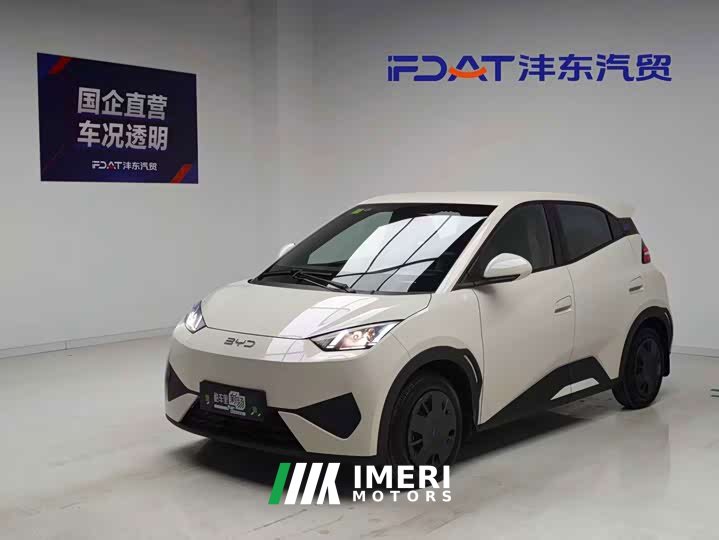 BYD Smart Drive Edition 305km Edition