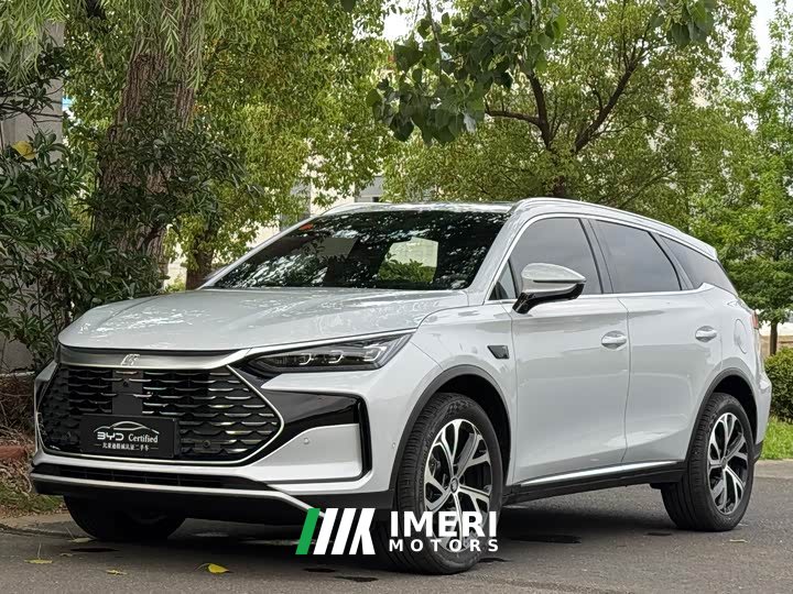 Lexus Tangxin Energy smart driving version DM-i 115KM flagship