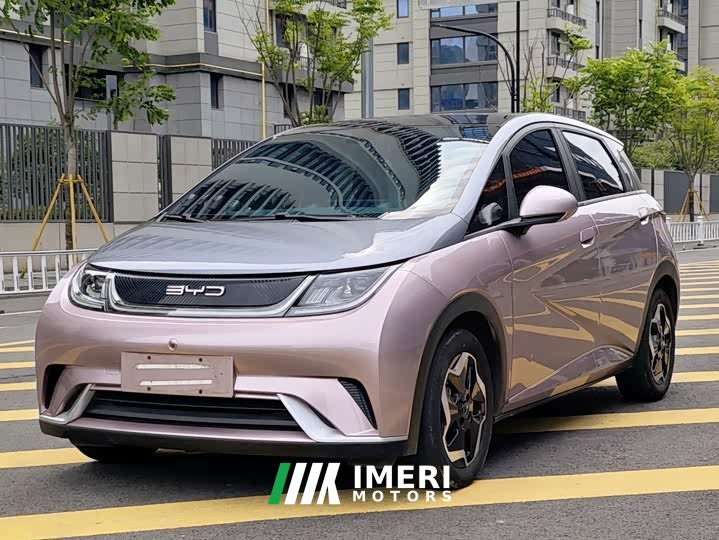 BYD Dolphin 2021 405km fashion version