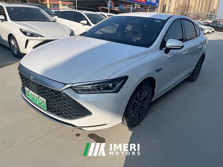 BYD Qin PLUS 2024 Honor Edition DM-i 55KM Leading Type