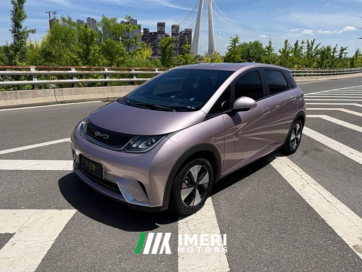 BYD Dolphin 420km Free Edition
