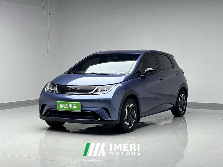BYD Dolphin 420km active version