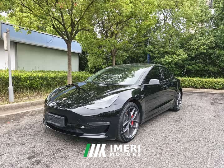 Tesla Model 3 Performance high-performance all-wheel drive version 3D6