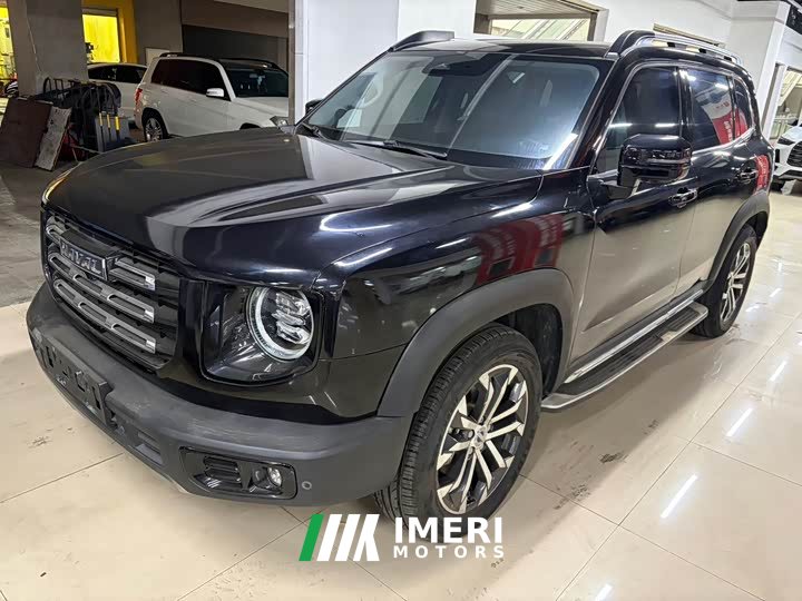 Haval Big Dog 1.5T DCT two-wheel drive Border Collie version