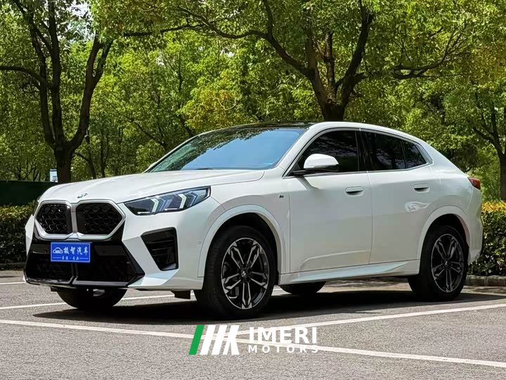 BMW X2 (Imported) sDrive25i M Sports Package