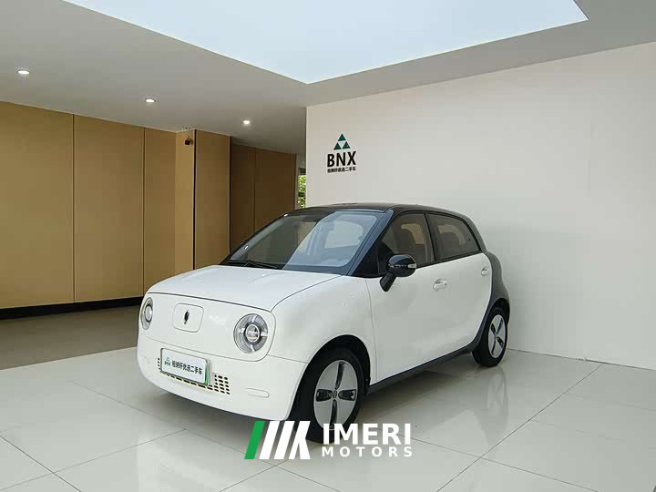 Lynk & Co Euler Black Cat 2022 301km basic ternary lithium