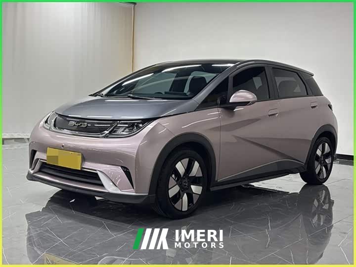 BYD Dolphin 2021 401km Knight Edition