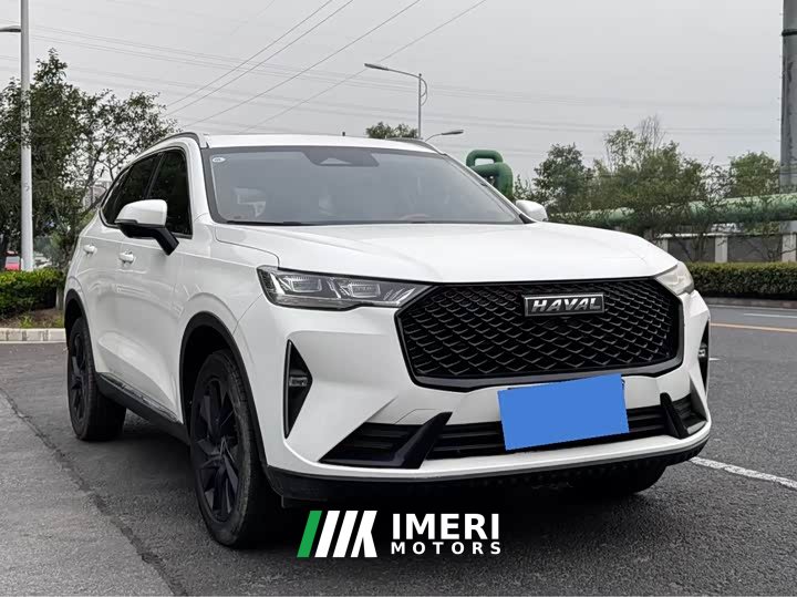 Haval H6 third generation 2.0T automatic two-wheel drive Max