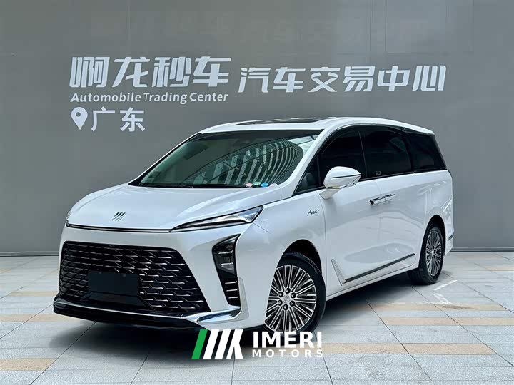 Buick GL8 New Energy 2024 Lu Zun Exclusive Edition 7 seats