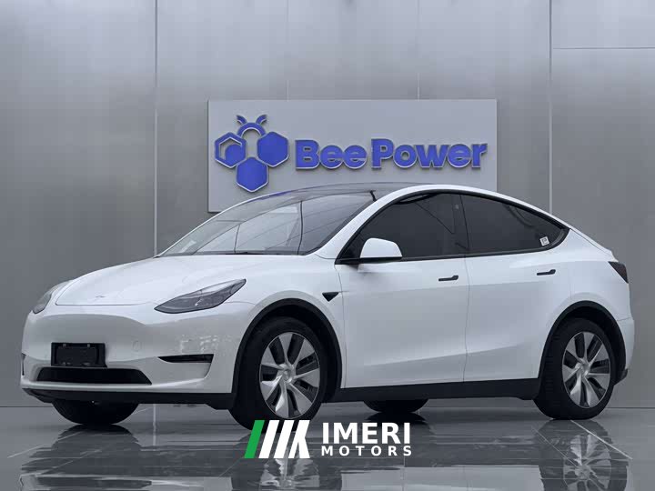 Tesla Model Y rear-wheel drive version