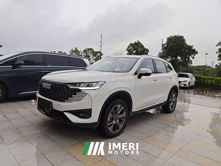 Haval H6 New Energy DHT-PHEV 110KM Yuexing Edition