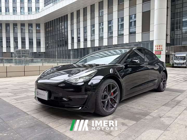Tesla Model 3 Performance high-performance all-wheel drive version 3D6