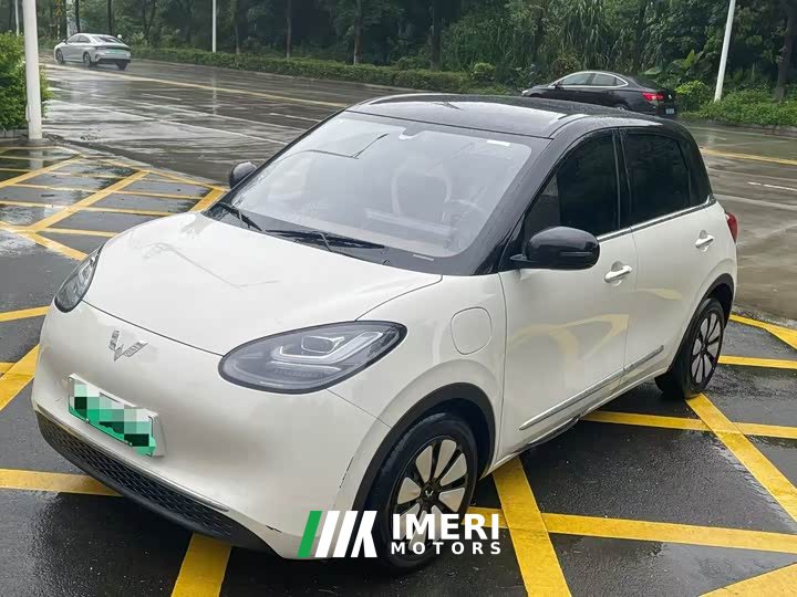 Wuling Bingo 333km Yuexiang