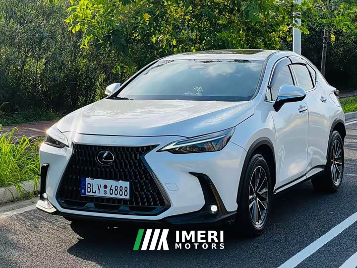 Lexus NX 260 front-wheel drive Chuangyue Edition