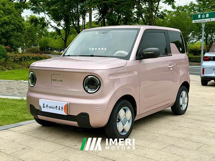 BMW Panda mini 200km endurance bear