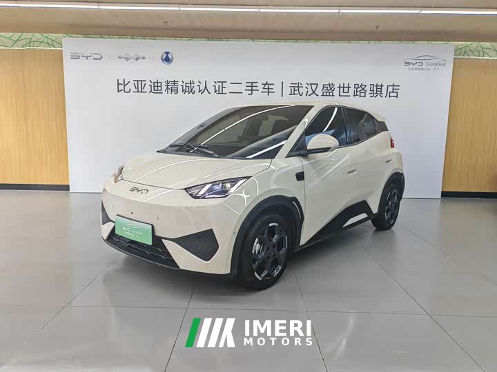 BYD Seagull smart driving version 305km free version