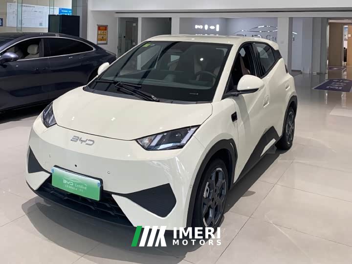 BYD Seagull smart driving version 305km free version